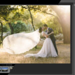 Photoshop vs. Lightroom Which One Should You Use?
