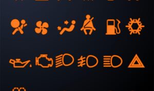 The Importance of Car Insurance What Every Driver Should Know
