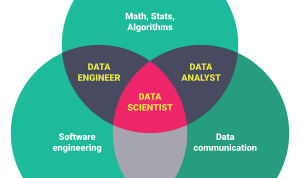The Role of a BI Engineer in Todays Data Teams Explained