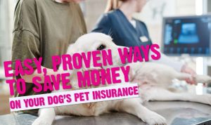 How to Save Money on Your Pet Insurance Premiums Today