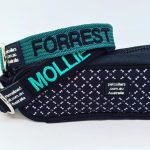 Stylish and Functional Collars for Your Pet That Shine