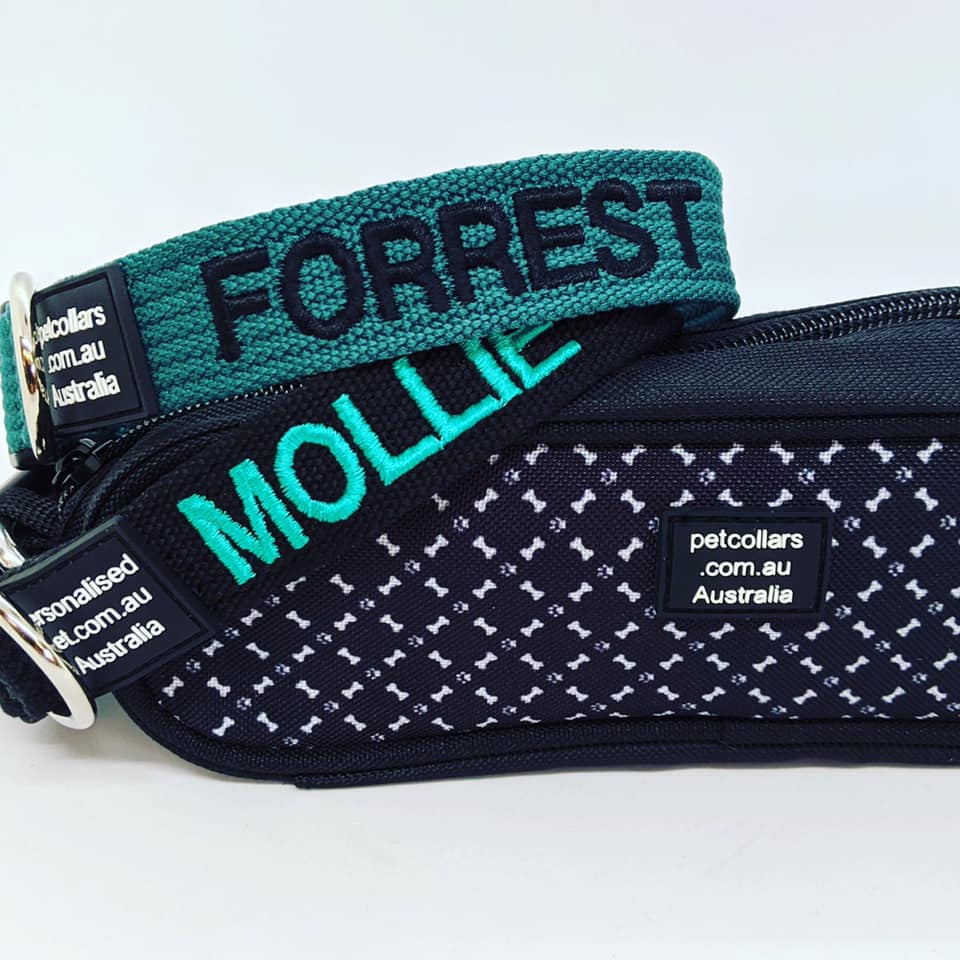 Dog collars bear teddy breeds Stylish and Functional Collars for Your Pet