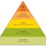 The Psychology of Online Shopping Understanding Consumer Behavior