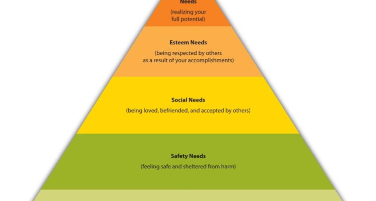 The Psychology of Online Shopping Understanding Consumer Behavior