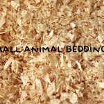 Best Bedding Options for Small Pets Made Easy