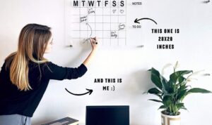 How to Choose the Right Organizer for Your Needs